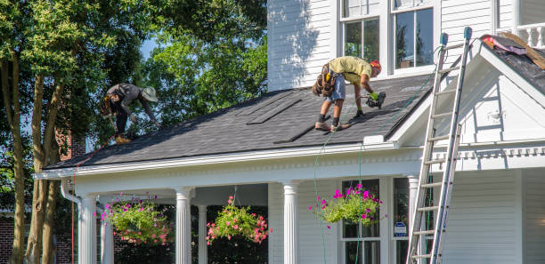 Best Roof Moss and Algae Removal  in Woodside, CA